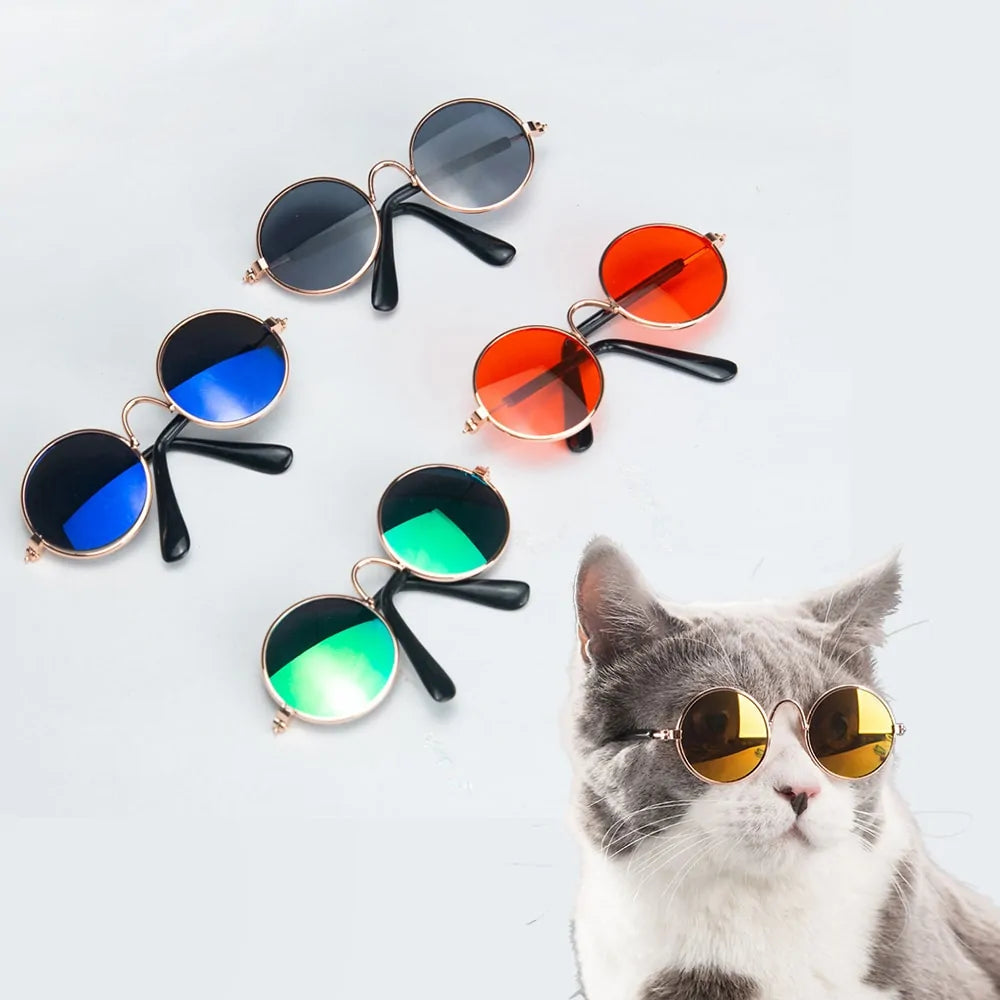 Hippie Pet Shades