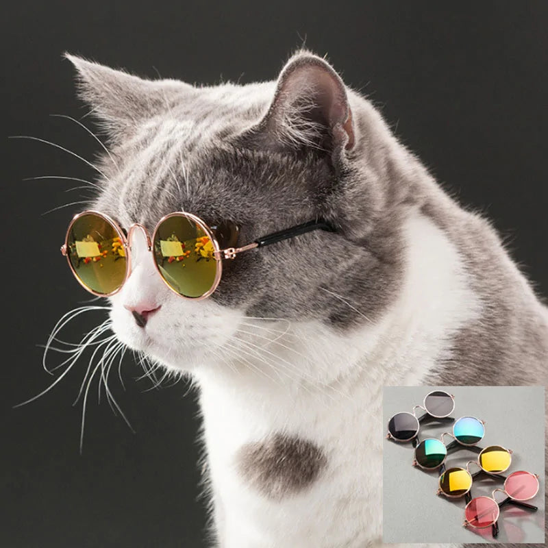 Hippie Pet Shades